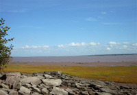 Rockport 10