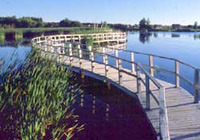 Rockport 9